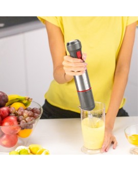 Zelmer ZHB4650 VARIO 0,7 l Blender immersyjny 1400 W Metaliczny, Czerwony