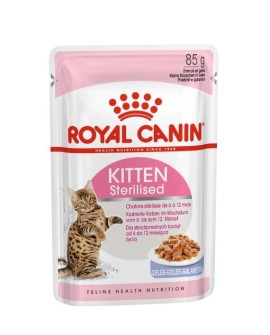 ROYAL CANIN FHN Kitten Sterilised w galaretce - mokra karma dla kociąt - 12x85g
