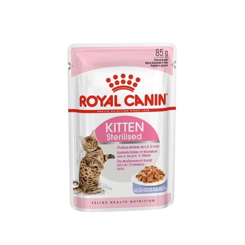 ROYAL CANIN FHN Kitten Sterilised w galaretce - mokra karma dla kociąt - 12x85g