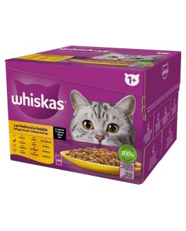 WHISKAS Kurczak kaczka drób indyk w sosie 24x85g