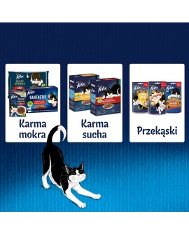 PURINA Felix Fantastic: wiejskie smaki - karma dla kota - 4 x 85g