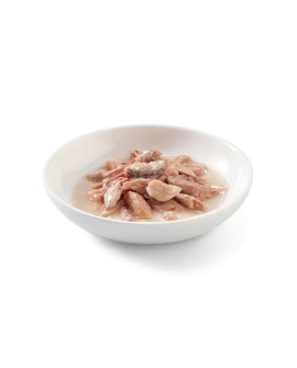 SCHESIR dla kotów Adult w Rosole Tuńczyk z Sardelami w Rosole 70g