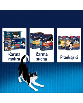 PURINA Felix Fantastic: wiejskie smaki - karma dla kota - 24 x 85g