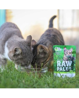 VetExpert Raw Paleo sterilised Dzik saszetka 100g