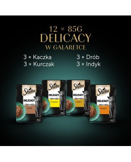 SHEBA Delicacy in Jelly Smaki Drobiowe - mokra karma dla kota - saszetka - 12x85 g