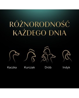 SHEBA Delicacy Drobiowe Smaki w galaretce - mokra karma dla kotów - 80x 85 g
