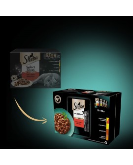 SHEBA Selection in Sauce Soczyste Smaki