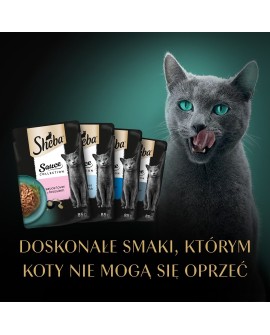 SHEBA Sauce Collection Mix Smaków rybnych w sosie - Mokra karma dla kota - 40x85g