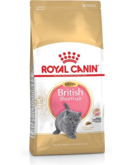 Royal Canin FBN British Shorthair Kitten - sucha karma dla kociąt - 2 kg