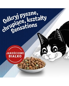 Purina FELIX Countryside Sensations Wołowina 1kg