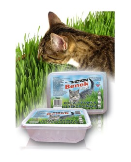 CERTECH Trawa szybkorosnąca - przysmak dla kota 150 g