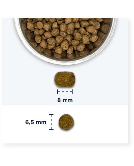Eukanuba Adult Hairball Control Rich in Chicken - sucha karma dla kota - 10 kg