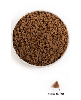 ACANA Kitten First feast - sucha karma dla kociąt - 1,8 kg