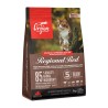 ORIJEN Cat Regional Red - sucha karma dla kota - 1,8kg