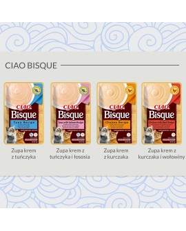 INABA CIAO Gęsta zupa z tuńczykiem i łososiem 40g