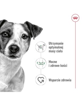 ROYAL CANIN SHN Mini Adult w sosie - mokra karma dla psa dorosłego - 12X85g