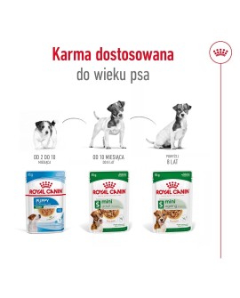 ROYAL CANIN SHN Mini Adult w sosie - mokra karma dla psa dorosłego - 12X85g