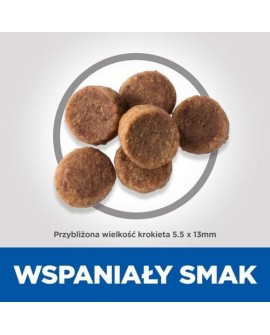 HILL'S Canine Puppy Large Breed - sucha karma dla psa - 14,5kg