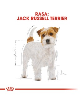 ROYAL CANIN BHN Jack Russell Terrier Adult - sucha karma dla psa dorosłego - 7,5kg