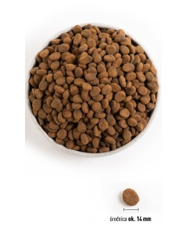 ORIJEN Regional Red - sucha karma dla psa - 2 kg
