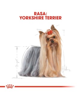 Royal Canin BHN Yorkshire Terrier Adult - sucha karma dla psa dorosłego - 1,5 kg