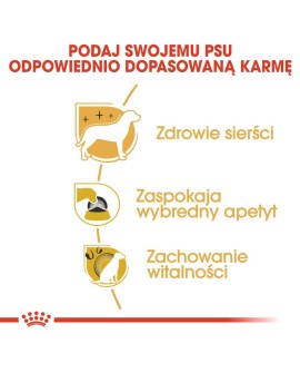 Royal Canin BHN Yorkshire Terrier Adult - sucha karma dla psa dorosłego - 1,5 kg