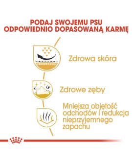ROYAL CANIN BHN Shih Tzu Adult - sucha karma dla psa dorosłego - 1,5 kg