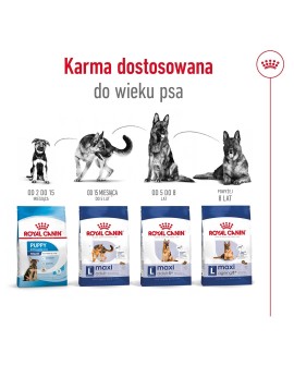 ROYAL CANIN SHN Maxi Adult - sucha karma dla psa dorosłego - 15 kg
