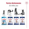 ROYAL CANIN SHN Maxi Adult - sucha karma dla psa dorosłego - 15 kg