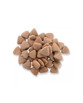 FITMIN Purity GrainFree Adult&Junior ryba - sucha karma dla psa - 12kg