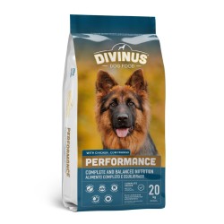DIVINUS Performance dla...