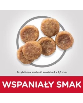 Hill's SP small & mini adult, chicken, dla psa 1.5 kg