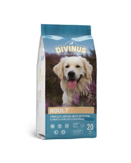 Divinus Adult dla psów dorosłych - sucha karma dla psa - 20 kg