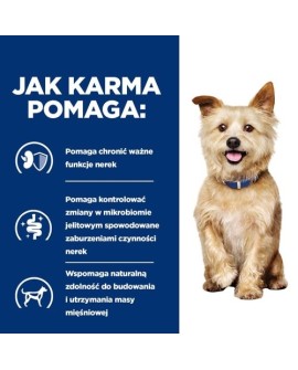 Hill's Prescription Diet Kidney Care Canine k/d - sucha karma dla psa - 12 kg