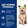 Hill's Prescription Diet Kidney Care Canine k/d - sucha karma dla psa - 12 kg
