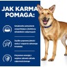 Hill's PD i/d digestive care, chicken,dla psa 16 kg (WYPRZEDAŻ)