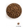 ACANA Grasslands Dog 2kg (WYPRZEDAŻ)