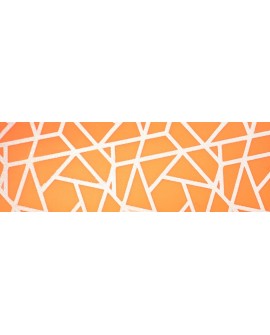 KERBL Smycz przepinana dla psa Puno, 200 cm x 25 mm, pomarańczowy