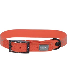 KERBL Obroża dla psa Puno, 36 - 45 cm, 25 mm, pomarańczowy