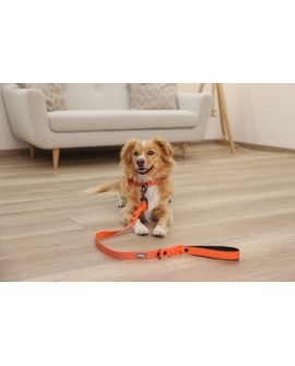 KERBL Obroża dla psa Puno, 36 - 45 cm, 25 mm, pomarańczowy