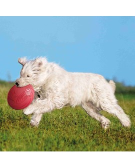 TRIXIE Frisbee gumowe 18cm 33501
