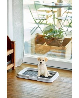 ZOLUX Puppy trainer - kuweta dla psa - 40x60x4cm
