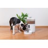 Dozownik karmy dla zwierząt z kamerą TESLA TSL-PC-BL4C Smart Pet Feeder Camera