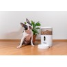 Dozownik karmy dla zwierząt z kamerą TESLA TSL-PC-BL4C Smart Pet Feeder Camera