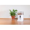 Dozownik karmy dla zwierząt z kamerą TESLA TSL-PC-BL4C Smart Pet Feeder Camera