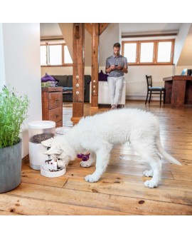 Dozownik karmy dla zwierząt TESLA TSL-PC-BL4 Smart Pet Feeder