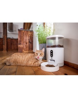 Dozownik karmy dla zwierząt TESLA TSL-PC-BL4 Smart Pet Feeder