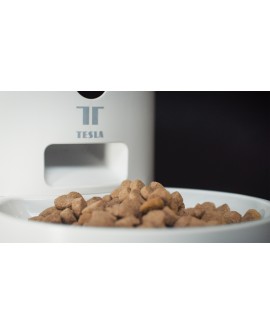 Dozownik karmy dla zwierząt TESLA TSL-PC-BL4 Smart Pet Feeder