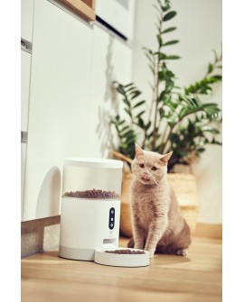 Dozownik karmy dla zwierząt TESLA TSL-PC-BL4 Smart Pet Feeder