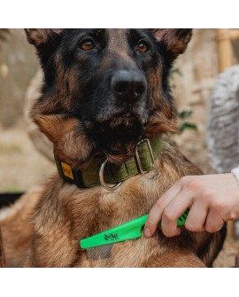 DINGO grzebień do wyczesywania insektów z plastikową rączką, zielony